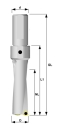 Wpl. Bohrer Ø 54,00 mm IK 3xD WCMX080412
