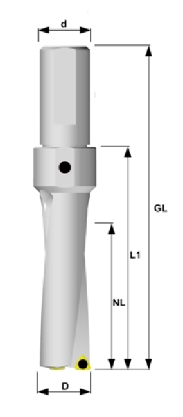 Wpl. Bohrer Ø 43,00 mm IK 3xD WCMX080412